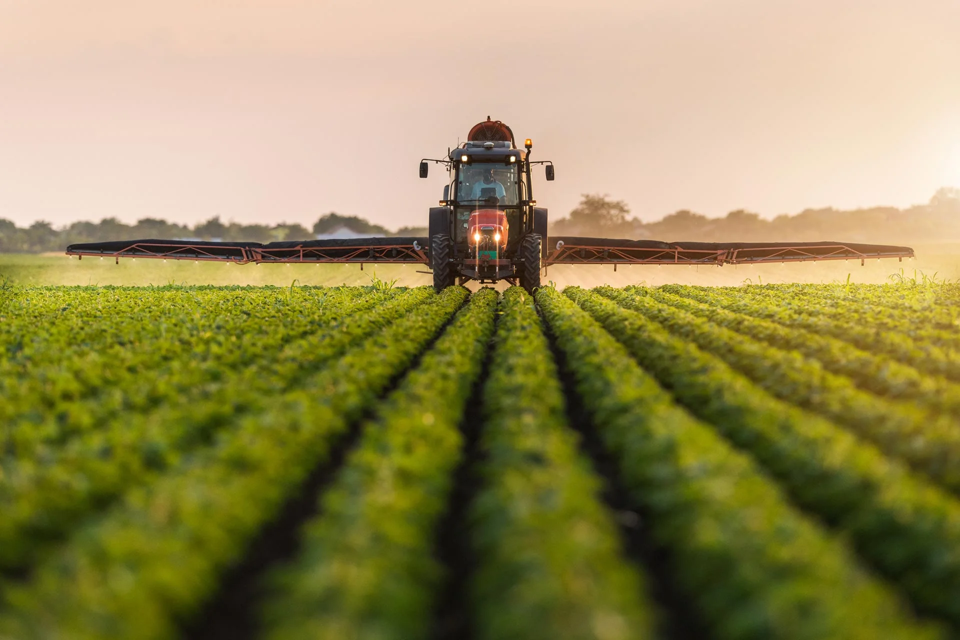 Global Agricultural Commodities: Market Trends and Sustainable Farming